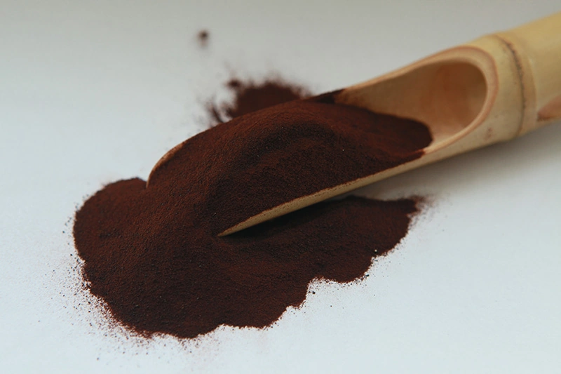 Forest biomass placeholder