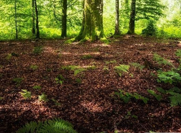 Soil system placeholder