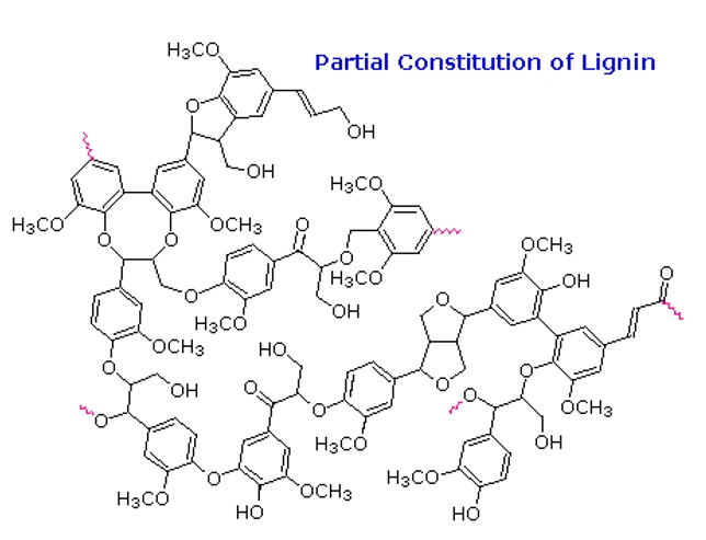 Lignin molecular structure placeholder